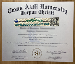 Where Can I Buy A Fake TAMU-CC Degree Certificate?