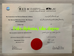 Obtain A Fake American University in Cairo Degree