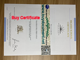 Board of Studies NSW Higher School Certificate For Sale in Australia