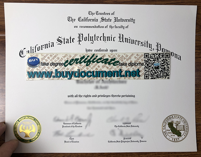 Cal Poly degree