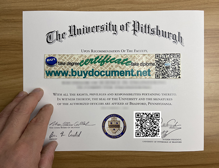 Pitt diploma